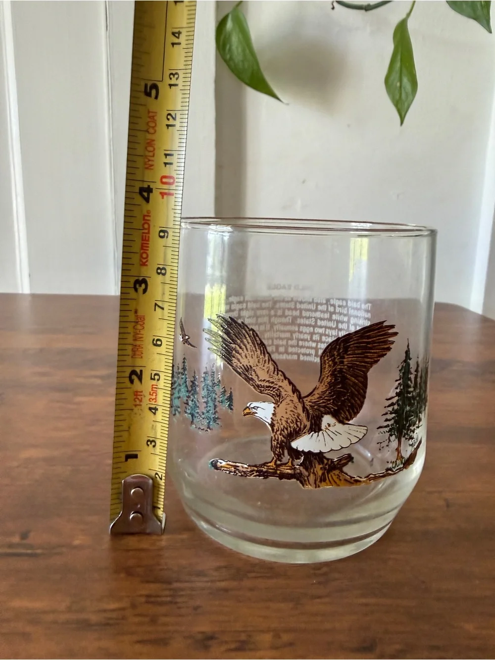 Eagle Glass Tumbler with Forest Scene